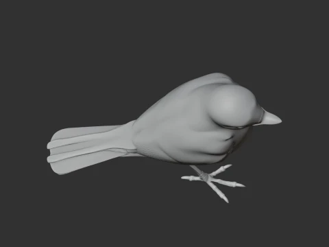 Wagtail Bird 3D Model