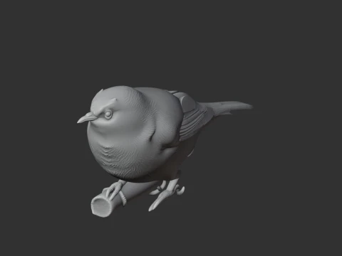 White-eye Bird 3D Model