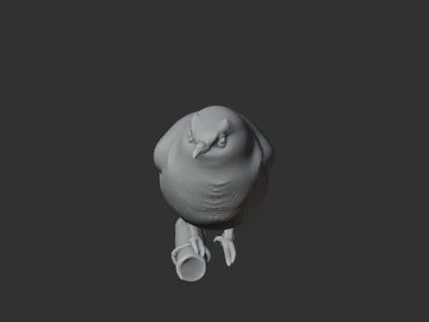 White-eye Bird 3D Model