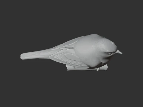 White-eye Bird 3D Model