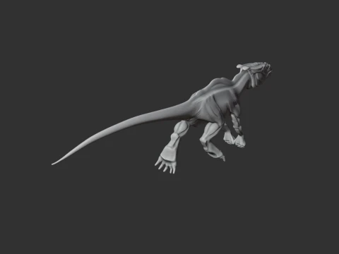 Xuanhuasaurus 3D Model