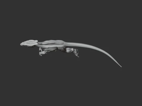 Xuanhuasaurus 3D Model
