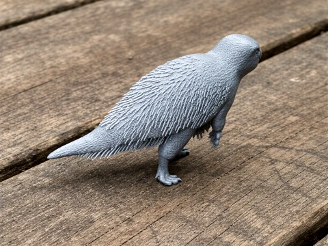 Yinlong Modèle 3D
