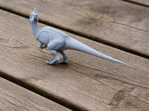 Yuanchuanosaurus 3D Model