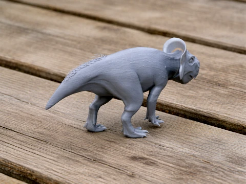 Zhuchengceratops Modèle 3D