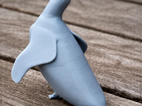 African Penguin 3D Model