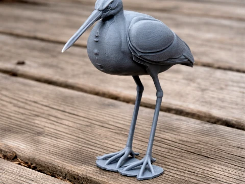Agami heron 3D Model