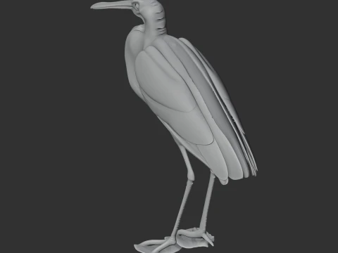 Agami heron 3D Model