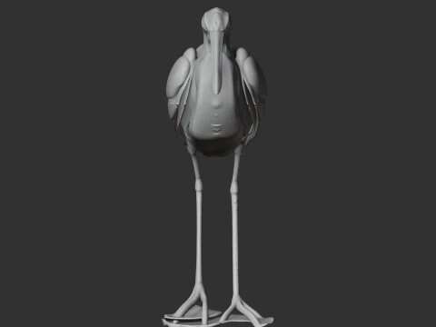 Agami heron 3D Model