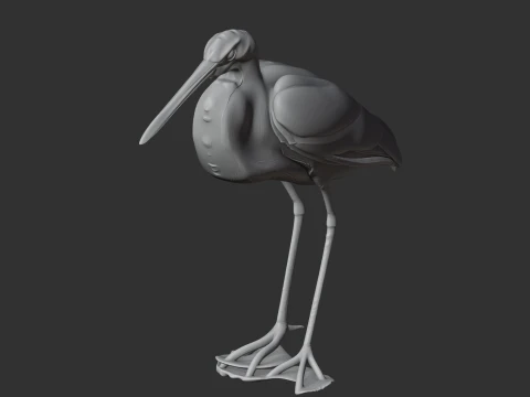 Agami heron 3D Model