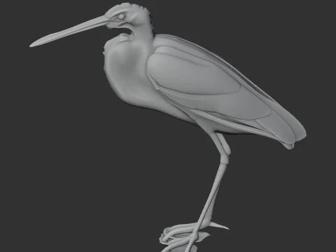 Agami heron 3D Model