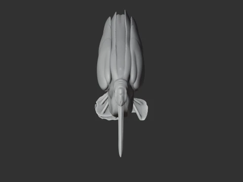 Agami heron 3D Model