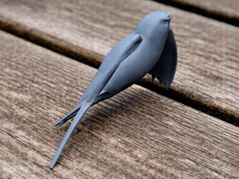 Alpine Swift 3D Model