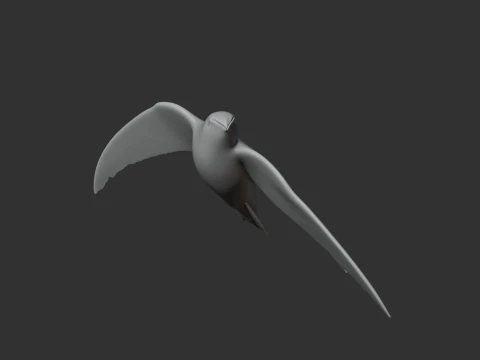 Alpine Swift 3D Model