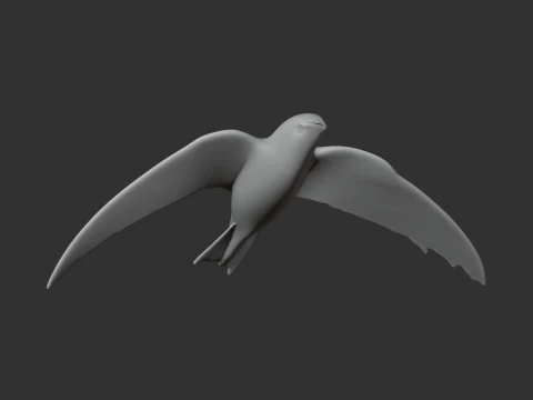 Alpine Swift 3D Model