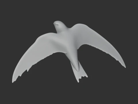 Alpine Swift 3D Model