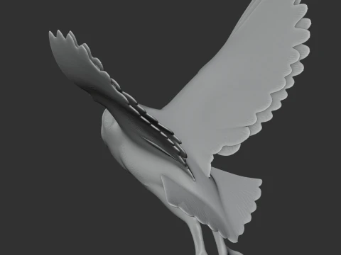 American barn owl 3D Model