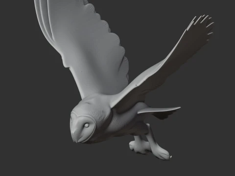 American barn owl 3D Model