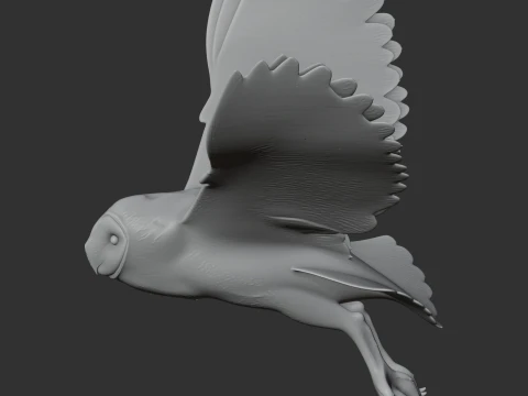 American barn owl 3D Model