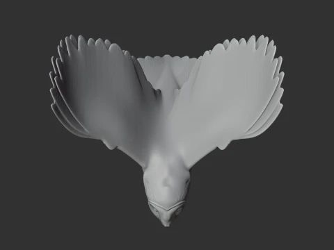 American barn owl 3D Model