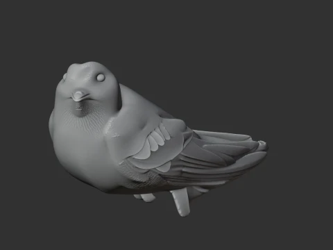 American black swift 3D Model