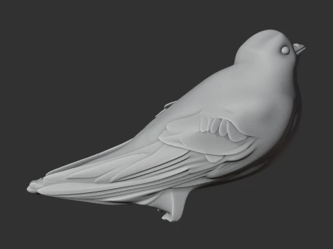 American black swift 3D Model