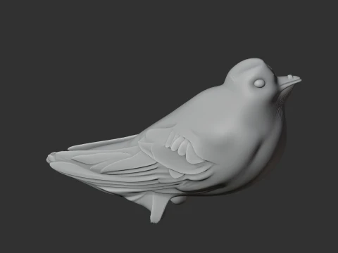 American black swift 3D Model