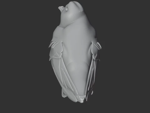 American black swift 3D Model