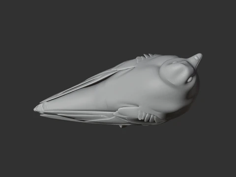 American black swift 3D Model
