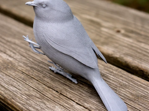 American bushtit 3D Model