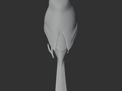 American bushtit 3D Model