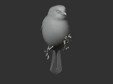 American bushtit 3D Model