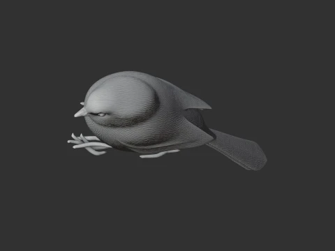 American bushtit 3D Model