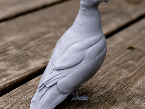 American herring gull 3D Model