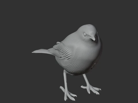 American pipit 3D Model
