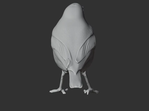American pipit 3D Model