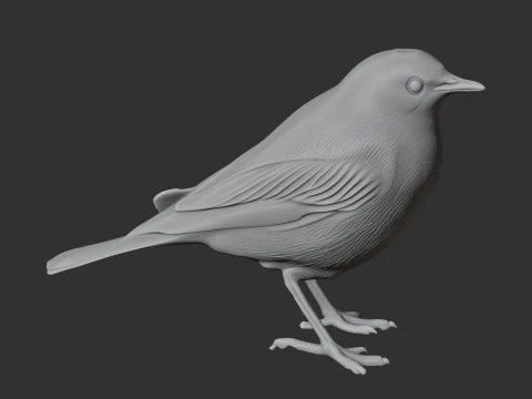 American pipit 3D Model