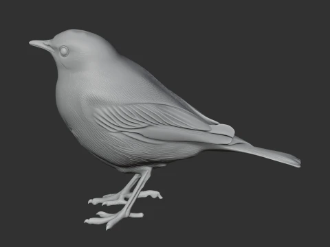 American pipit 3D Model