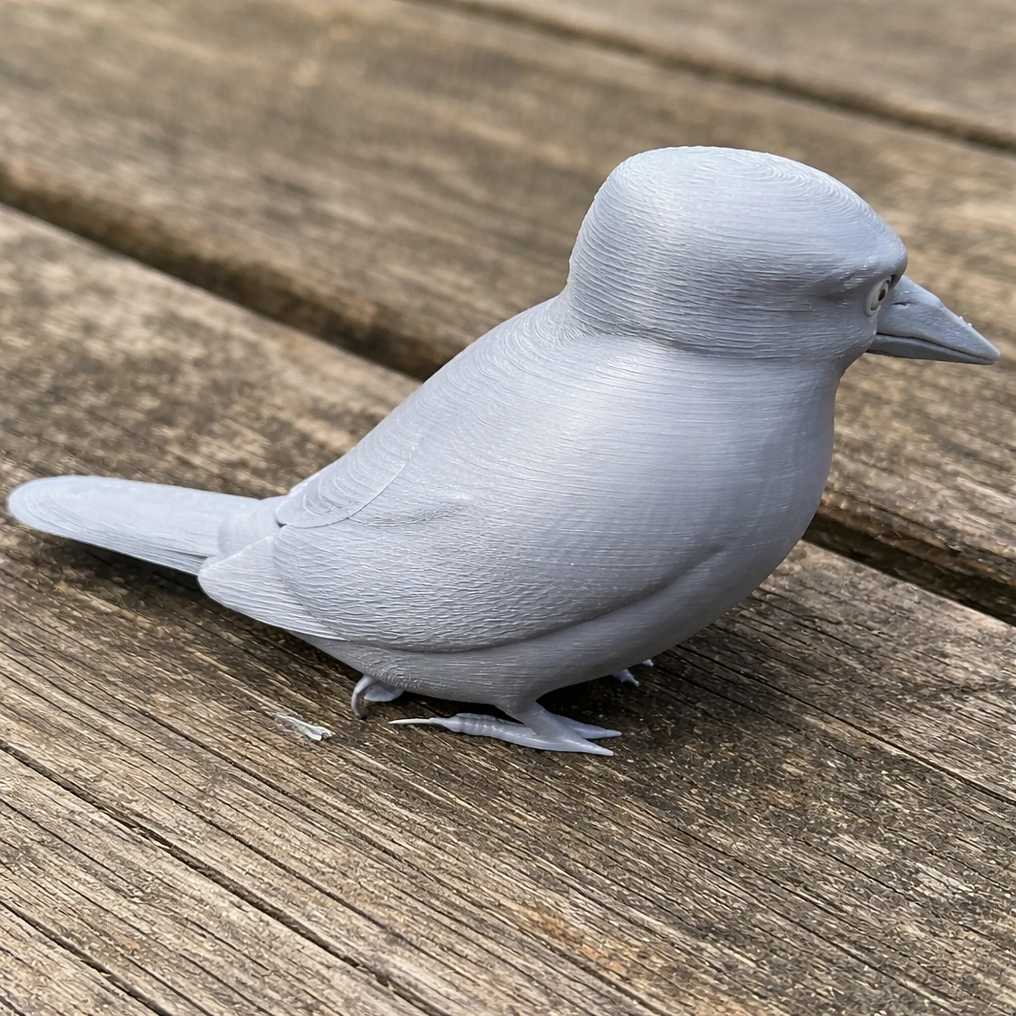 American pygmy kingfisher 3D Model .c4d .max .obj .3ds .fbx .stl .blend 