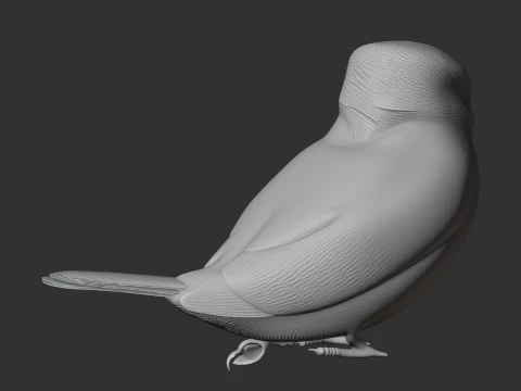American pygmy kingfisher 3D Model