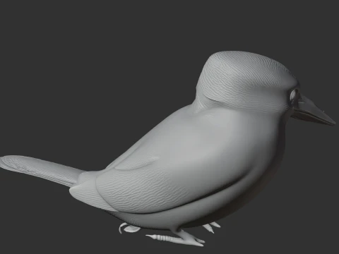 American pygmy kingfisher 3D Model