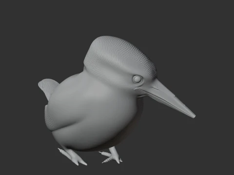 American pygmy kingfisher 3D Model