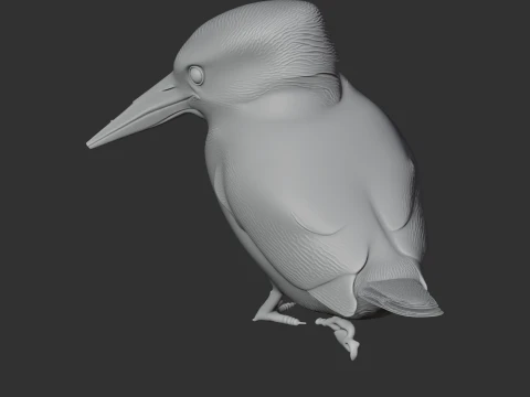 American pygmy kingfisher 3D Model