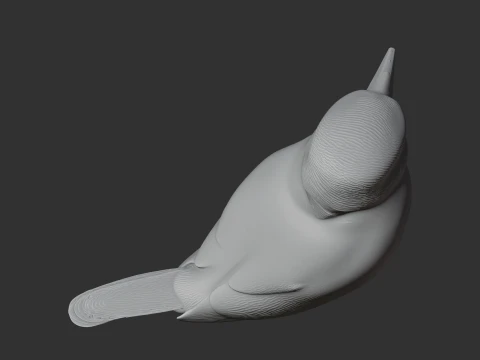 American pygmy kingfisher 3D Model