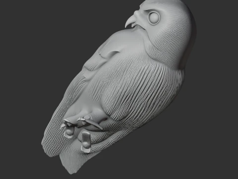 Andaman boobook 3D Model