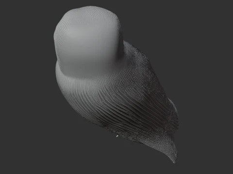 Andaman boobook 3D Model