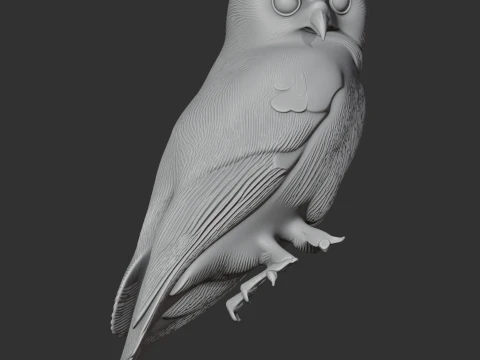 Andaman boobook 3D Model