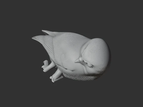 Andaman boobook 3D Model
