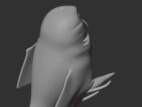 Andaman scops owl 3D Model