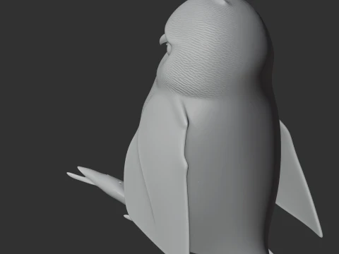 Andaman scops owl 3D Model